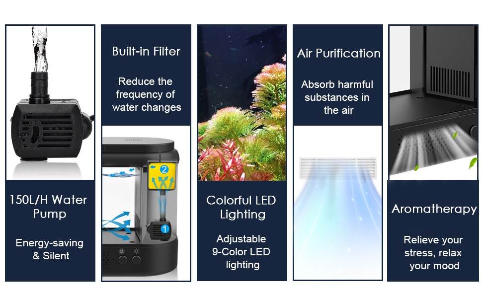 Buy AQQA 2.5 Gallon Aquarium Kits Desktop Small Fish Tank with Filter and  Light (8 Colors Adjustable) Freshwater & Saltwater Betta Fish Tank Kit  Office & Home Decor (Black) Online at Low