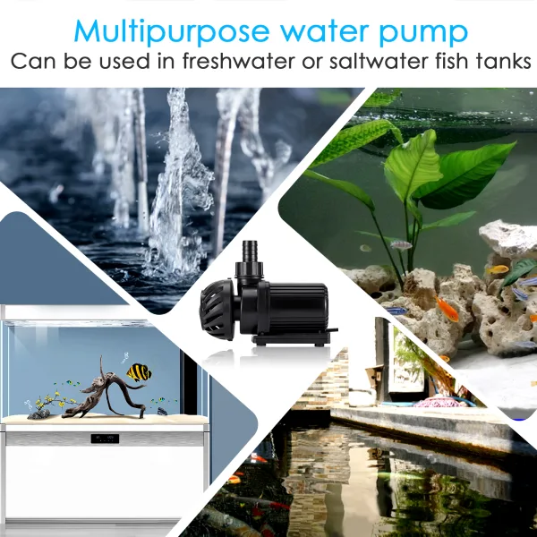 Water Pump