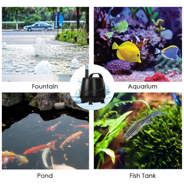 Water Pump