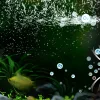 Aquarium Filter and Accessories