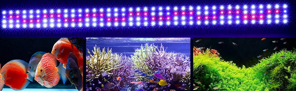 Aquarium Light