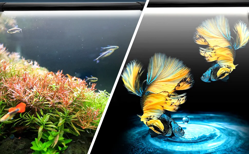 Aquarium Light