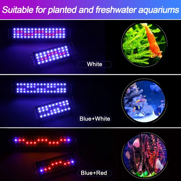 Aquarium Light