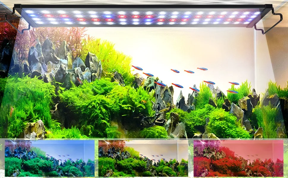 Aquarium Light
