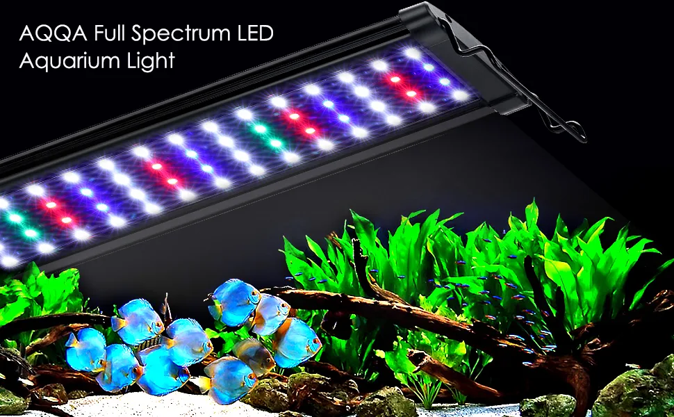 Aquarium Light