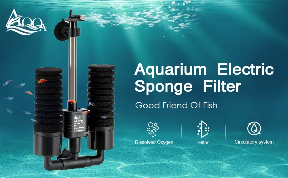 Filter and Accessories