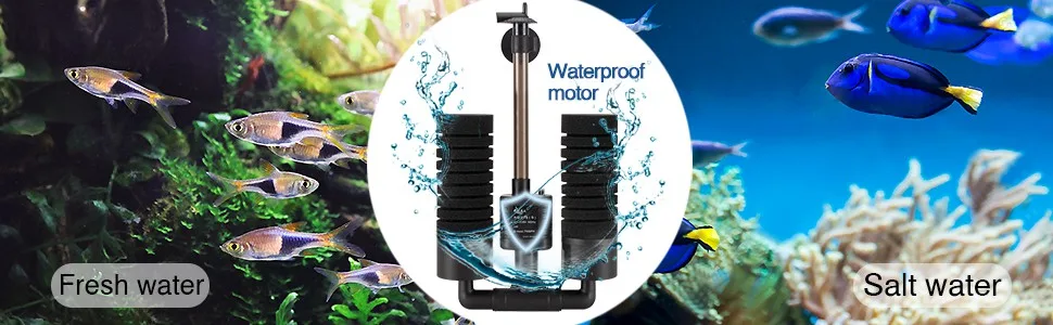 Filter and Accessories
