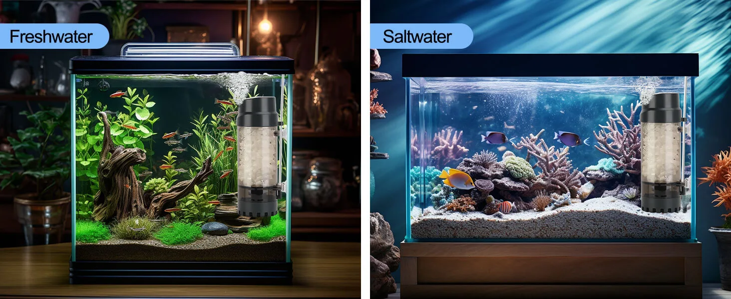 Filter and Accessories