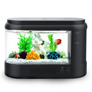 Buy ERAARK Smart Aquarium kit 1.5 Gallon Betta Fish Tank self Cleaning,  Supports Bluetooth, Fish Tank with Filter LED Light, Decorative Sand, Water  Pump, Fish Tank Starter Kits, Fish (Forest) Online at