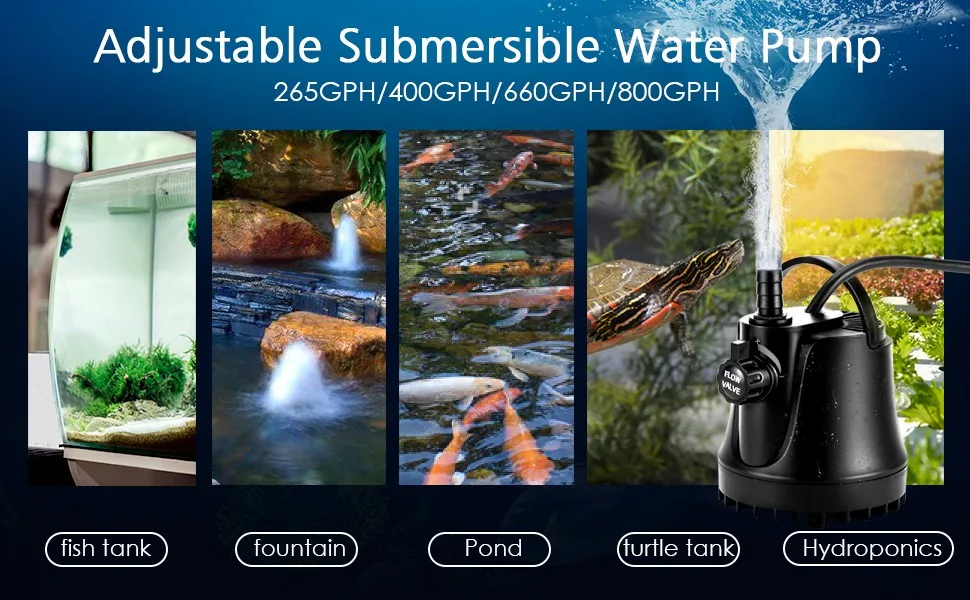 Water Pump