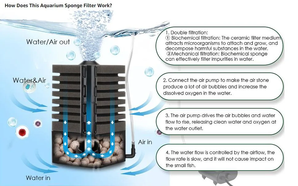 Filter and Accessories