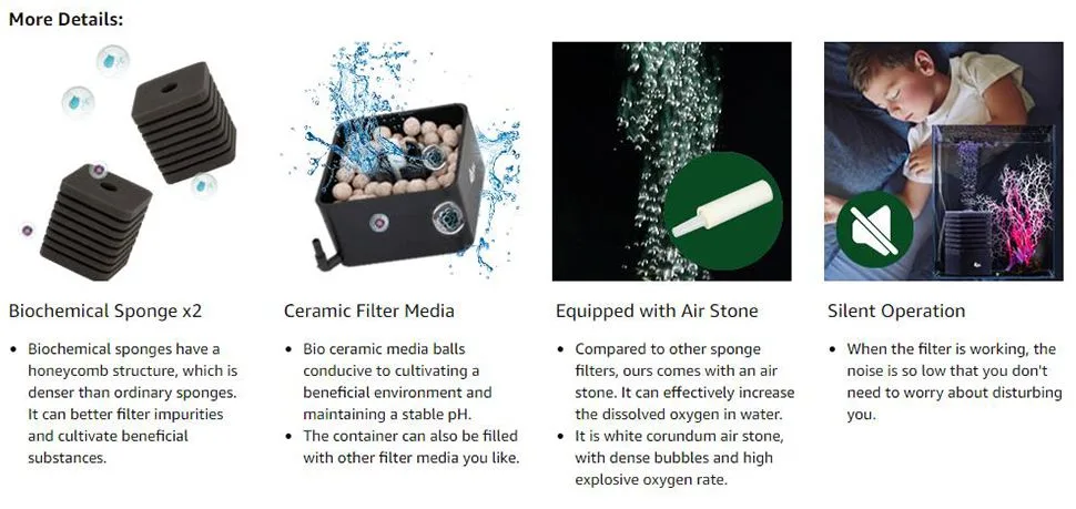 Filter and Accessories