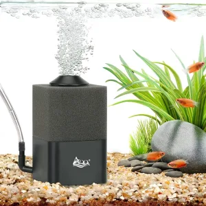 Filter and Accessories