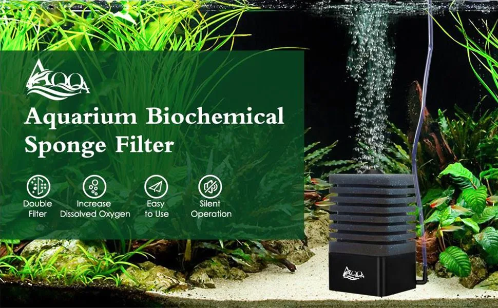 Filter and Accessories