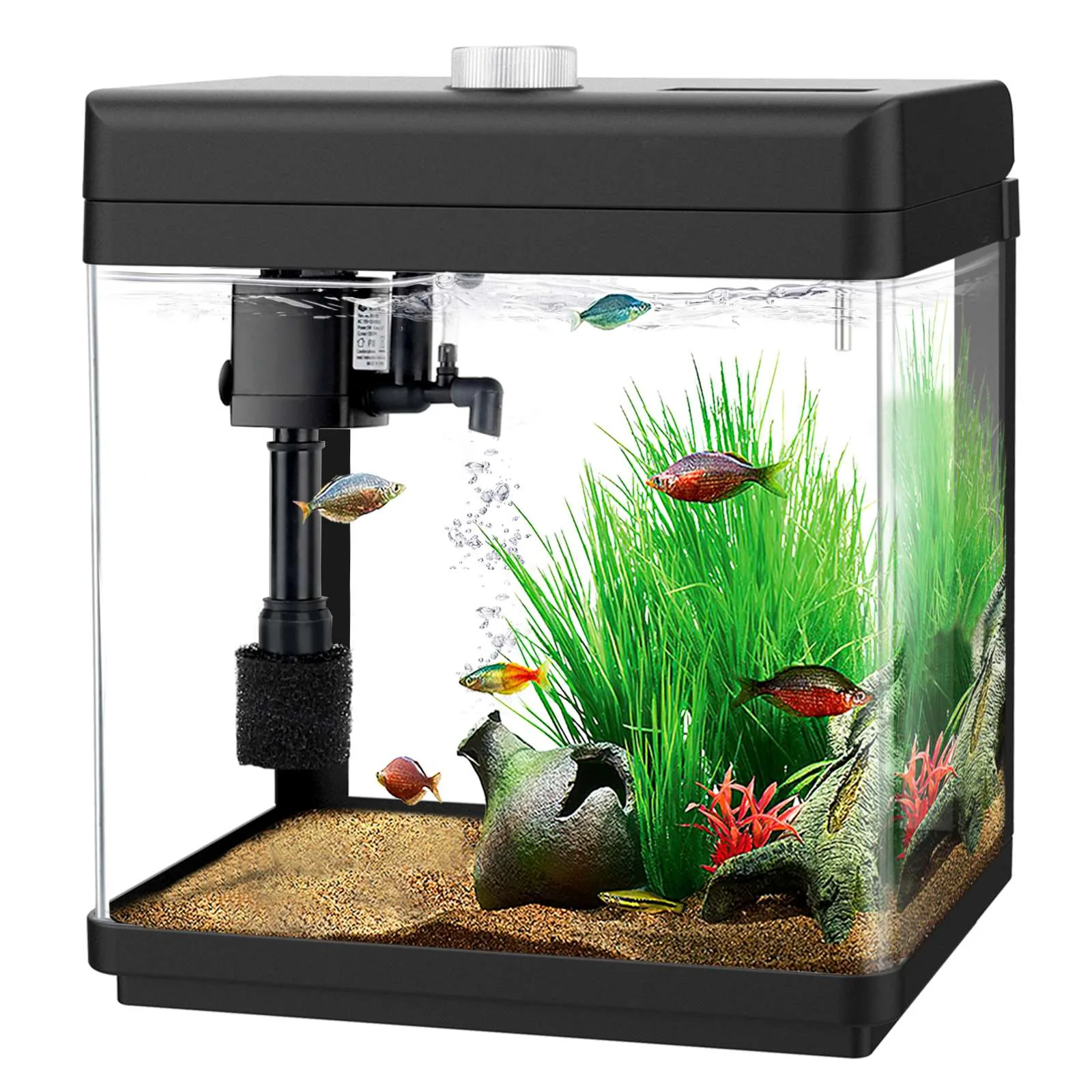 Fish Tank
