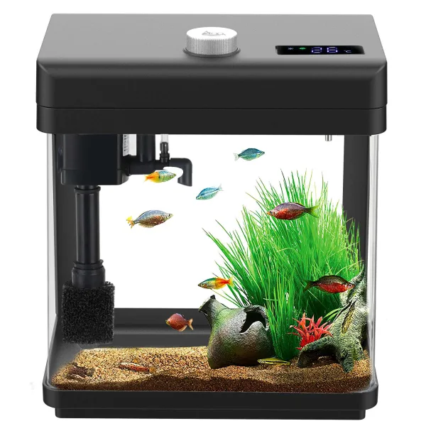 Fish Tank