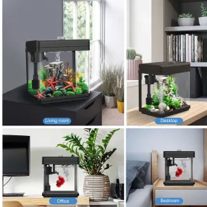 Fish Tank
