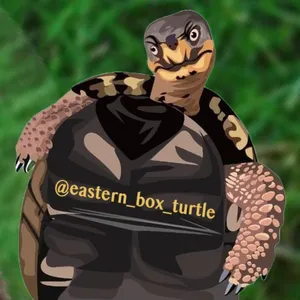 INS-eastern-box-turtle-logo