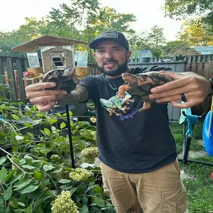 INS-eastern-box-turtle