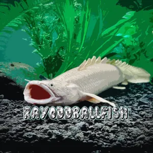INS-rayoddballfish