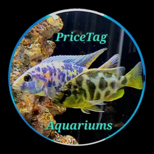 YTB-PriceTag
