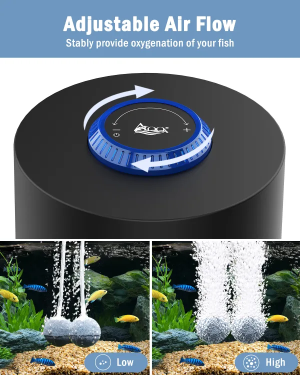 Air Pump