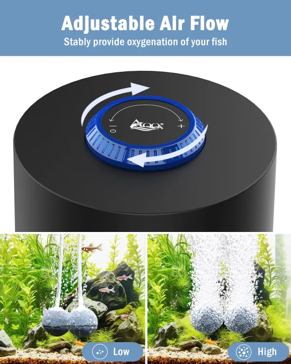 Air Pump