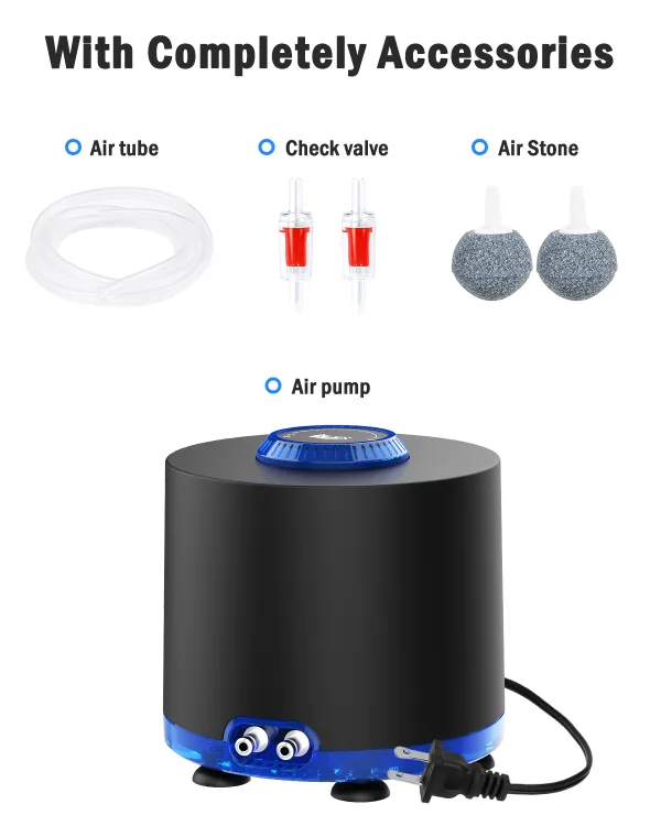 Air Pump