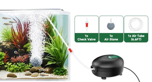 Air Pump