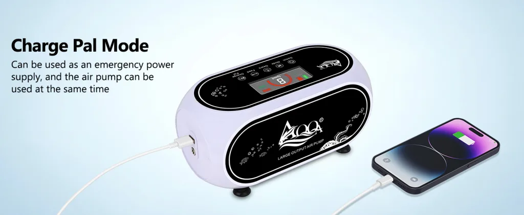 Air Pump