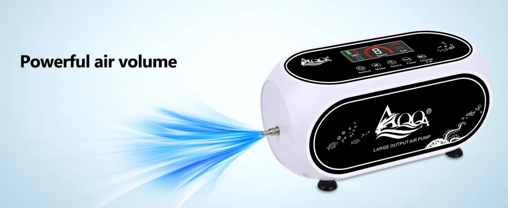 Air Pump