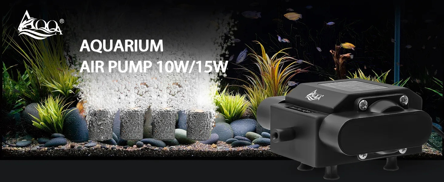 Air Pump