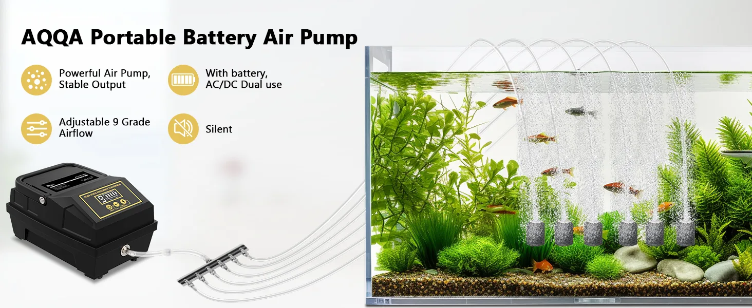 Air Pump