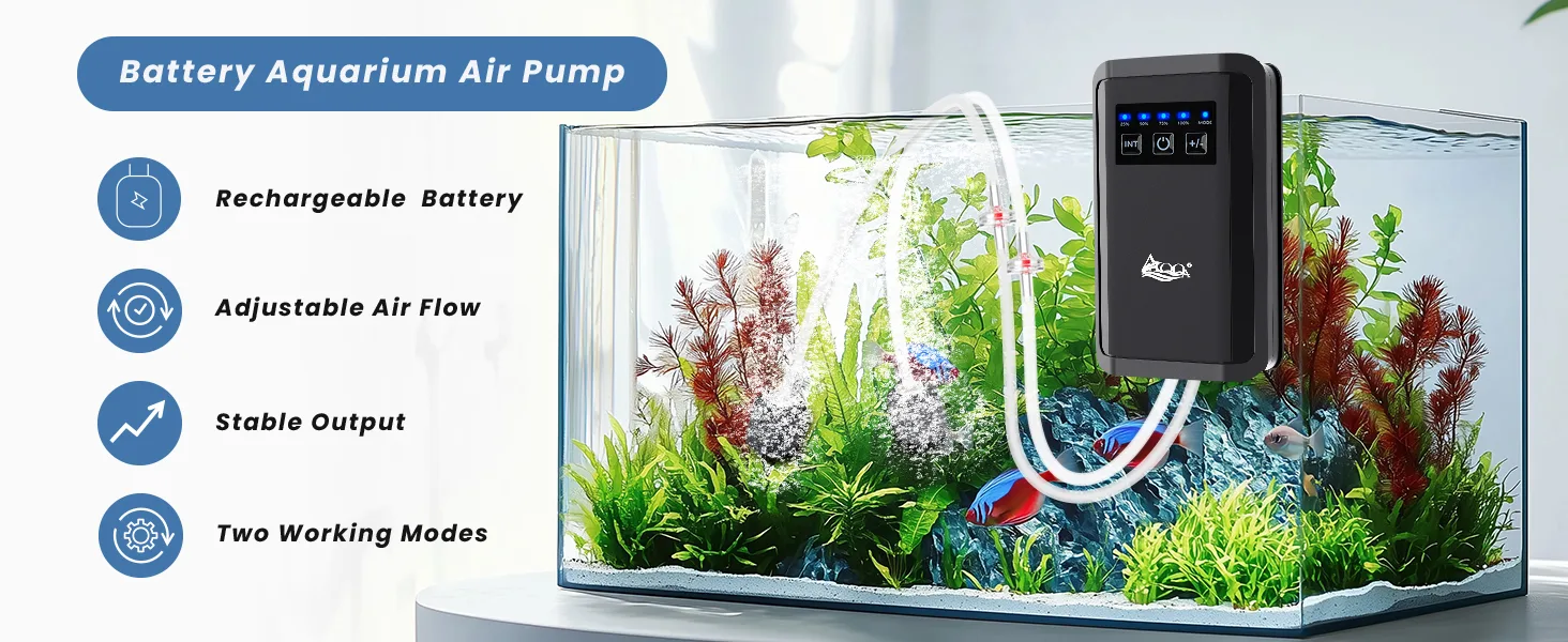Air Pump