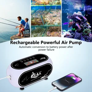 Air Pump