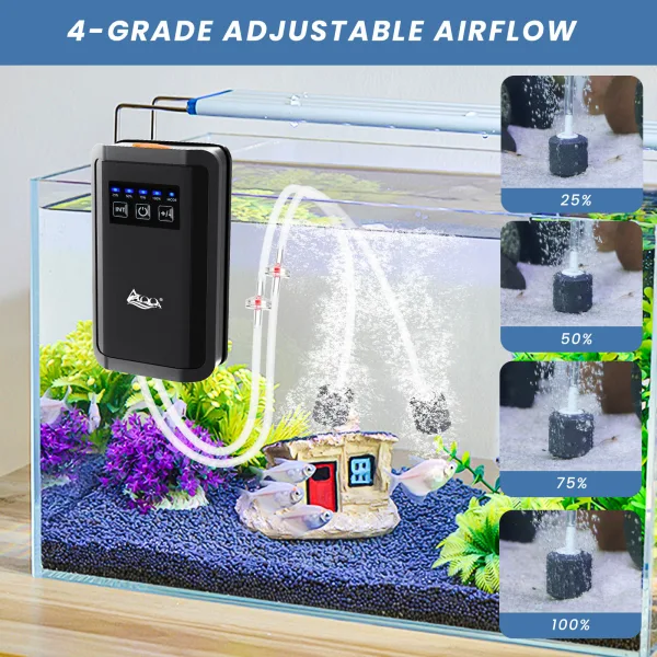 Air Pump