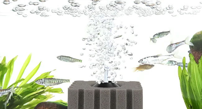 Aquarium Filter and Accessories