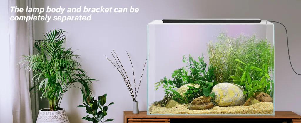 Aquarium Light