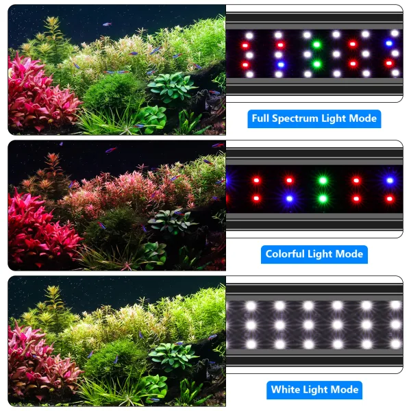 Aquarium Light