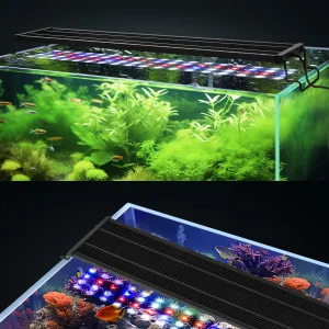 Aquarium Light