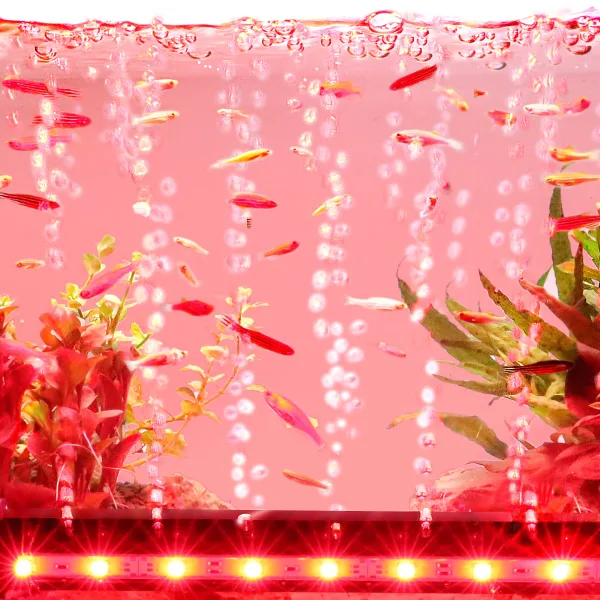 Aquarium Light