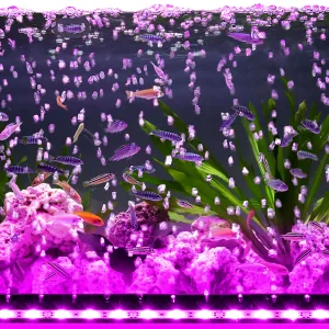 Aquarium Light