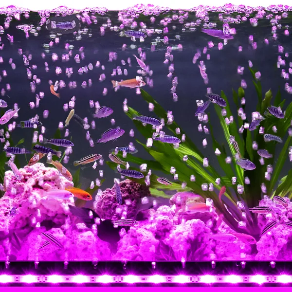 Aquarium Light