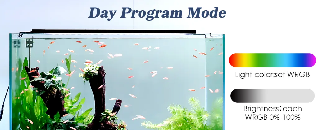 Aquarium Light