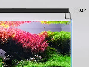 Aquarium Light
