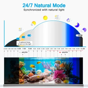 Aquarium Light