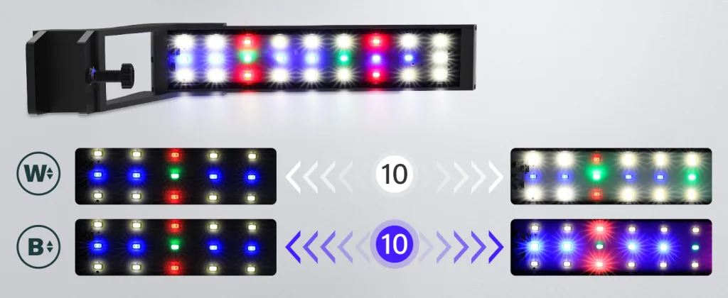 Aquarium Light