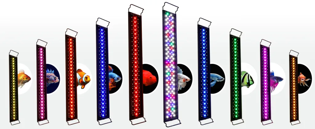 Aquarium Light
