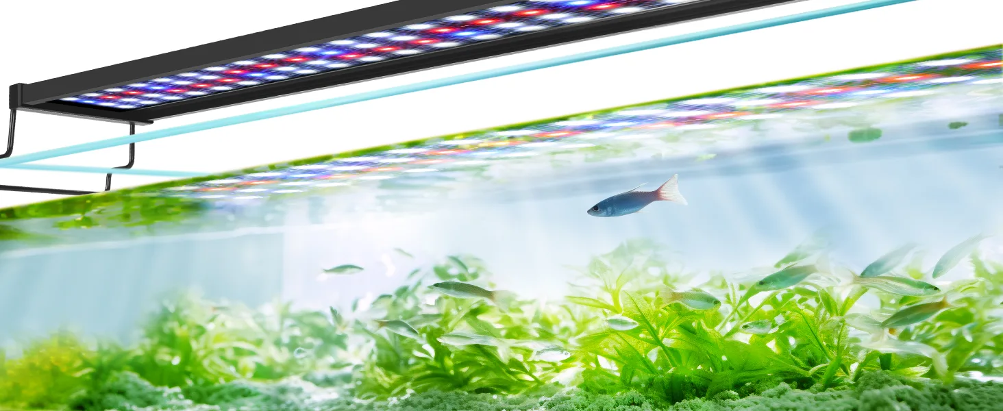 Aquarium Light