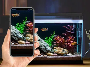 Aquarium Light